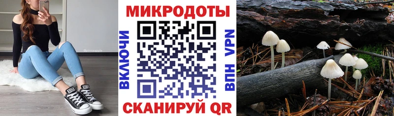 Галлюциногенные грибы прущие грибы  Купить где  Камень-на-Оби 
